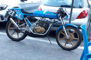 aspes yuma 125