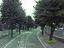 Immagine 10