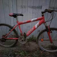 bicicletta MTB