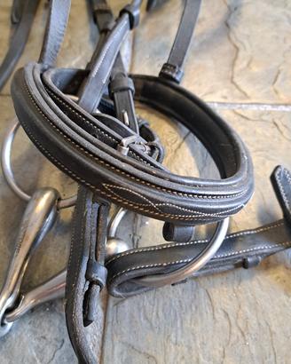 Testiera Equestro in cuoio + redini