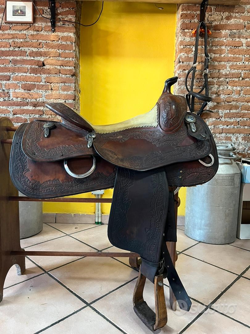 Spectacle se détendre Tacle la selle western Sens tactile Invalidité Fourmi