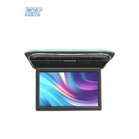 SCHERMO PER TETTO FULL HD DA 11,6"