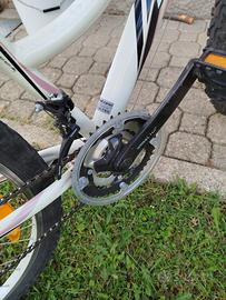 MTB bici