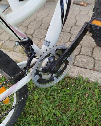 MTB bici