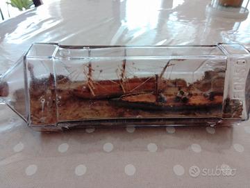 2 Navi antiche in legno con faro in bottiglia