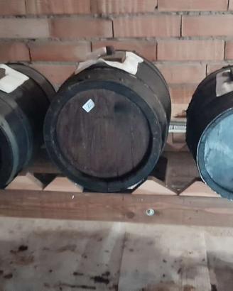 Batteria Aceto Balsamico