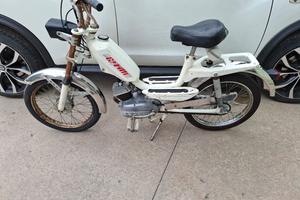Gitan 50 