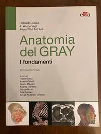 Anatomia del GRAY i fondamenti