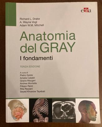 Anatomia del GRAY i fondamenti