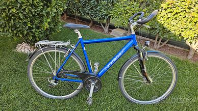 BICI TEDESCA GUDEREIT 