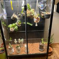 IKEA RUDSTA Greenhouse – grow light e ventilazione