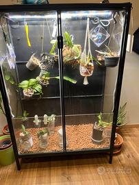 IKEA RUDSTA Greenhouse – grow light e ventilazione