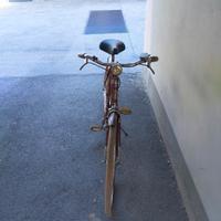 BICICLETTA DA DONNA 26  WANDER 1956
