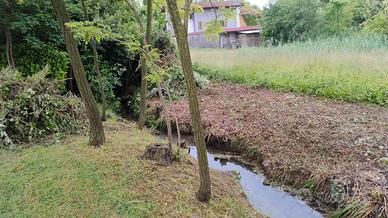 Cura del verde