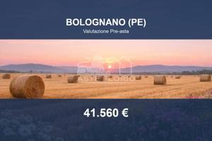Immobile in asta di 160063 m² a Bolognano