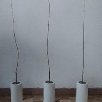 LAMPADARIO EGLO 3 LUCI