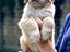Immagine 17