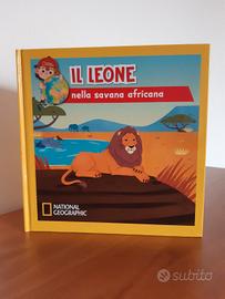Il Leone nella savana africana National Geographic