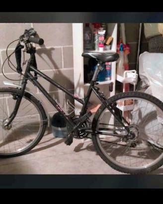 Bicicletta MTB donna/ragazza