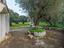 Immagine 25