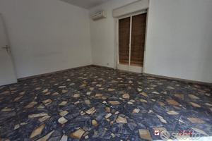 Luminoso e ampio Trivani non arredato S.S. 114