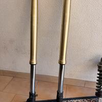 Forcella + mono Tenere 700