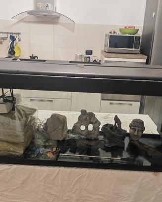 acquario Stemaf 250 litri