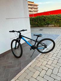 Mountain Bike COPPI misura 28
