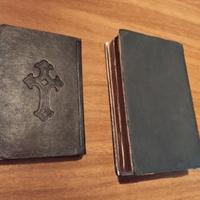 Antichi libri di fine 800 Torino 