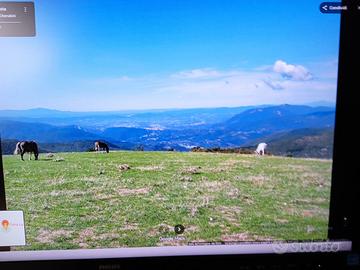 Campeggiatori amanti del relax si affitta terreno