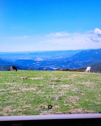 Campeggiatori amanti del relax si affitta terreno