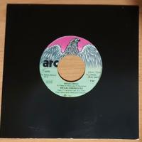 Disco vinile 45 giri Megaloman/I-Zenborg