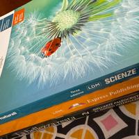 Libri liceo artistico secondo anno