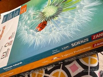 Libri liceo artistico secondo anno