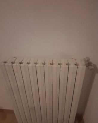 termosifoni in ghisa