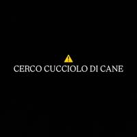 Cucciolo di cane