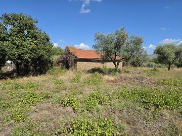 Gallicano nel lazio: tinello con terreno agricolo