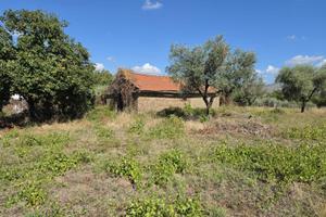 Gallicano nel lazio: tinello con terreno agricolo