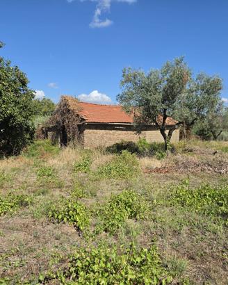 Gallicano nel lazio: tinello con terreno agricolo