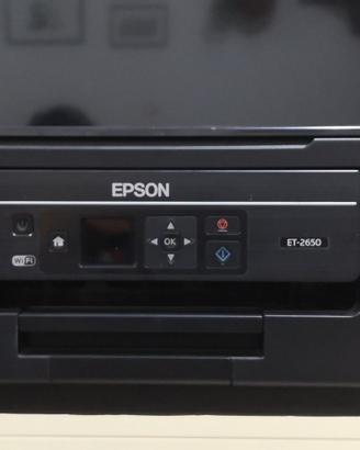 Stampante Epson Ecotank (ricambi)