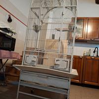 Gabbia pappagalli con ruote