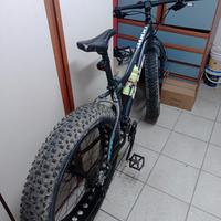 Fat-bike