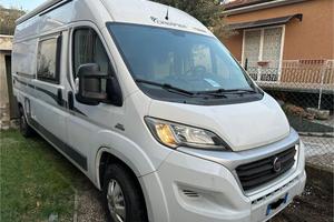 Dreamer d 55