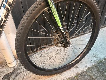 bici mountain bike frejus spread 