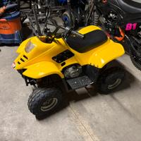 Mini quad e mini cross