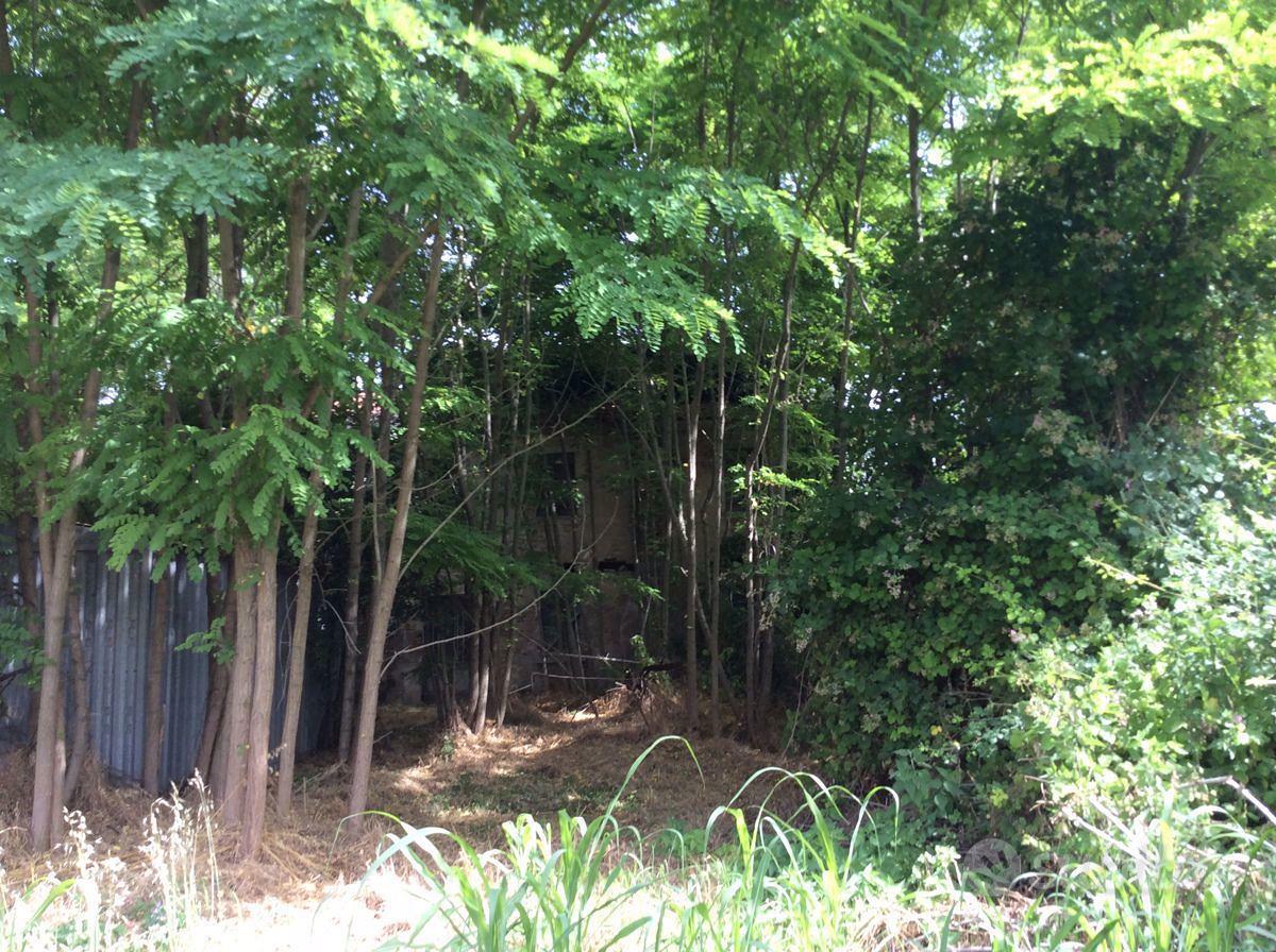 Rustico/Casale/Corte Papozze [A3731VRG] - Vista 5