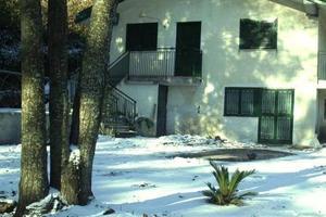 Baita / Chalet sull'Etna