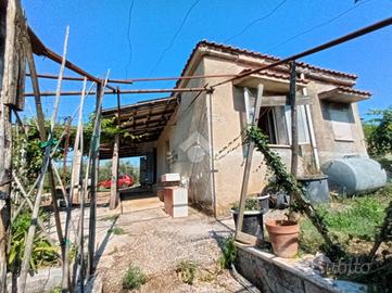 CASA INDIPENDENTE A OLEVANO ROMANO