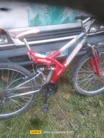 bicicletta ammortizzata
