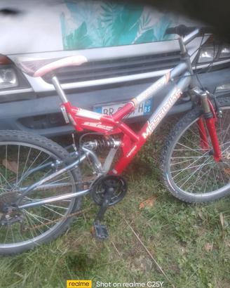 bicicletta ammortizzata